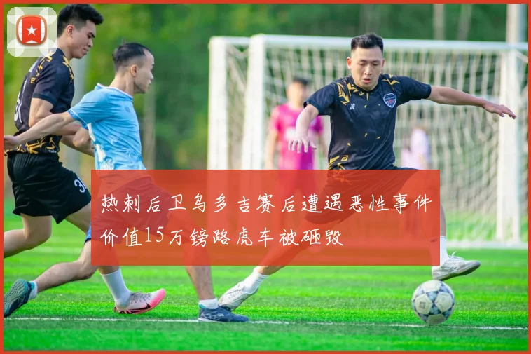 热刺后卫乌多吉赛后遭遇恶性事件价值15万镑路虎车被砸毁