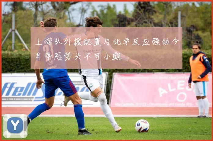 上海队外援配置与化学反应强劲今年争冠势头不可小觑